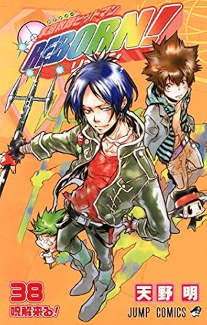 家庭教師ヒットマンリボーン！ 38巻セット 小説 公式ファンブック 家庭教師ヒットマンリボーン！ 38巻セット 小説 公式ファンブック